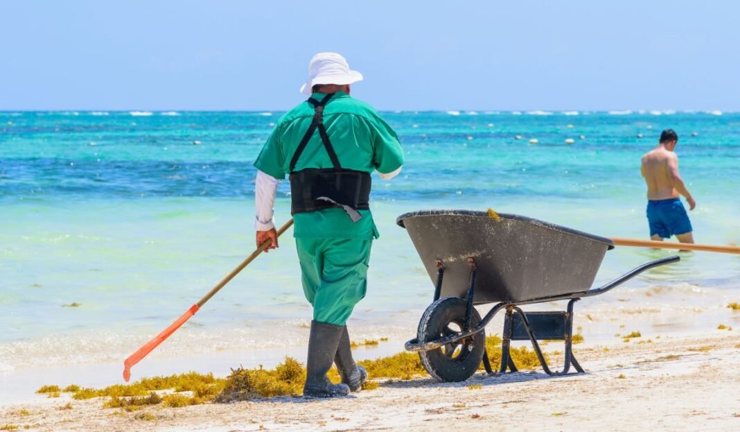 Sargassum-season-in-the-Cancun-region-is-nearing-its-end.jpg Sargassum Season in Cancun Area Nearing Its End, Says Governor