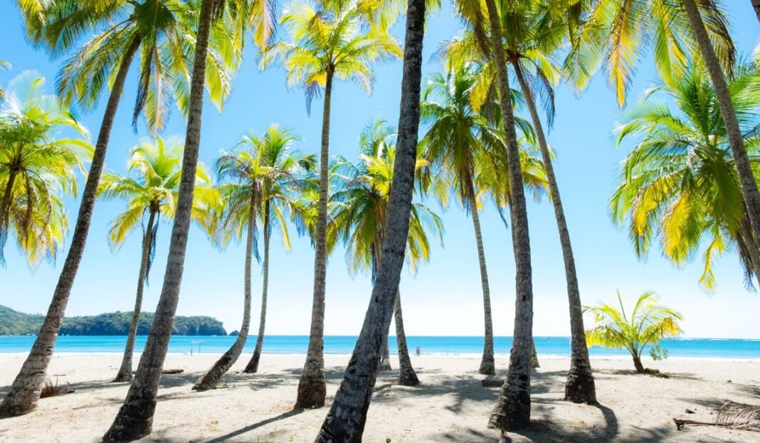 U.S. Embassy in Costa Rica Warns of Rising Crime Against Foreigners